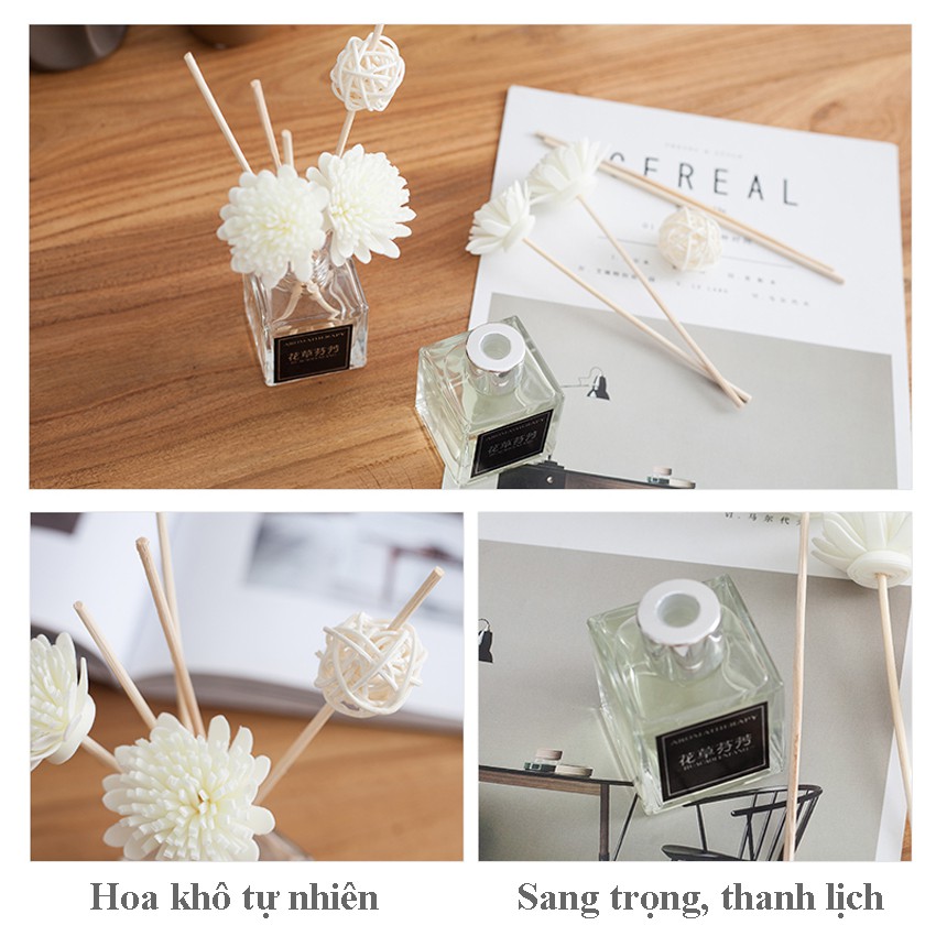 Tinh Dầu Thơm Phòng, Tinh Dầu Thơm Tự Khuếch Tán Sun.z