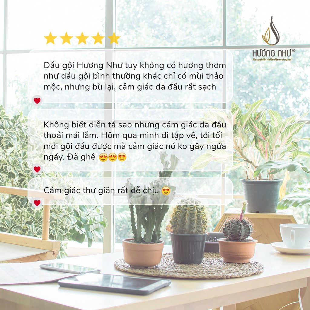 DẦU GỘI THẢO DƯỢC HƯƠNG NHƯ 250ml TÓC KHÔ/ DẦU/ NHUỘM/ NAM GIỚI
