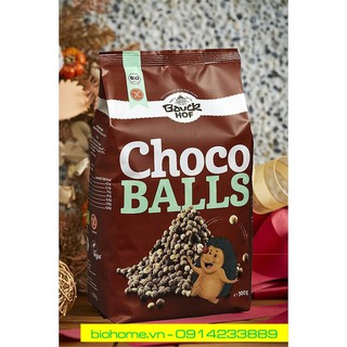 Ngũ cốc socola giòn hữu cơ Bauckhof 300g