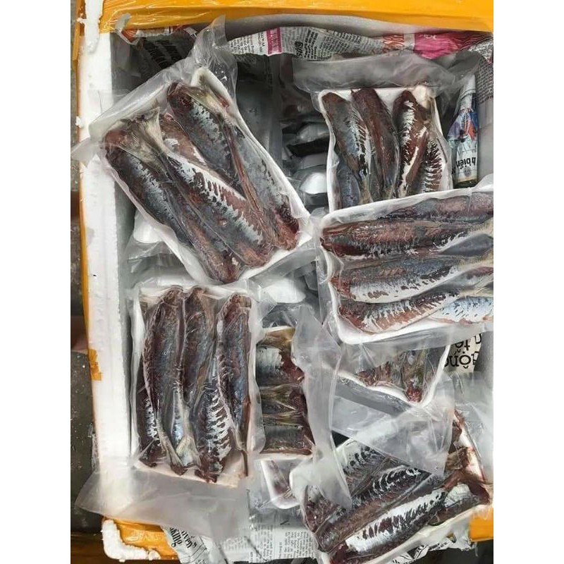 CÁ NỤC 1 NẮNG KHAY 500G