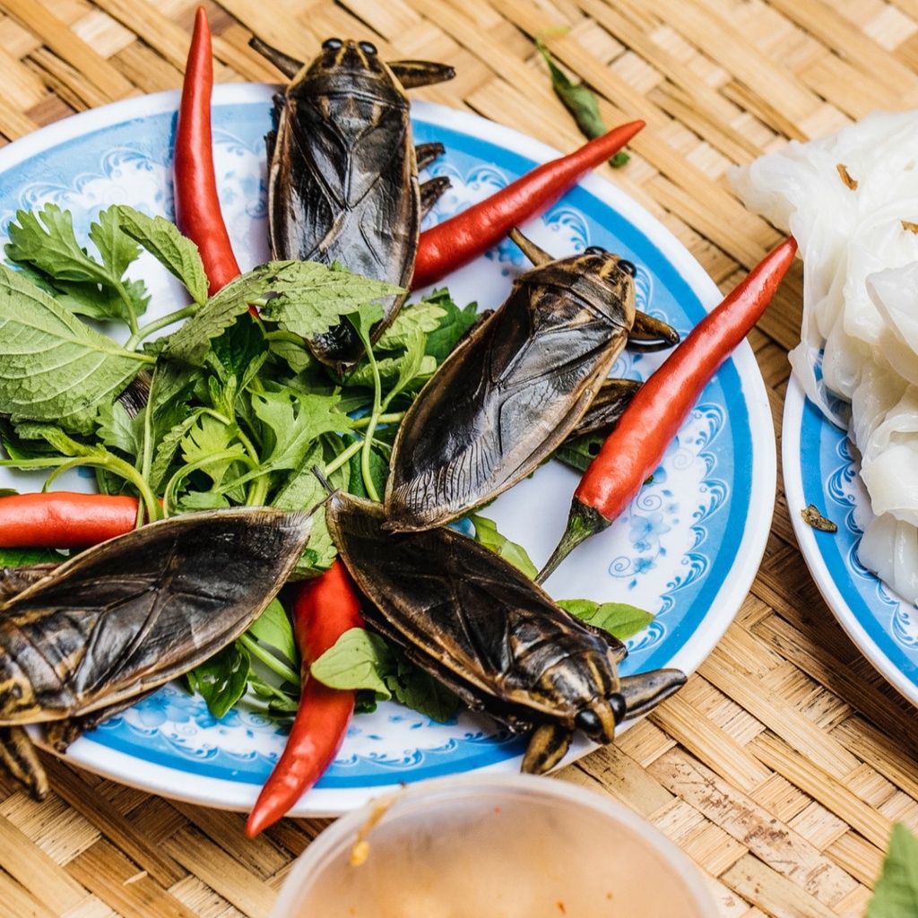 [Nước mắm NGON] Nước mắm cà cuống Hà Thành 10 con độ đạm 40N chai thủy tinh 500ml rin nguyên chất truyền thống sạch