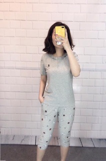 Bộ lửng Vic