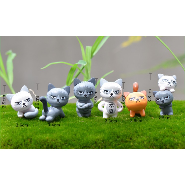 Mô hình mèo hoàng thượng tức giận để bàn