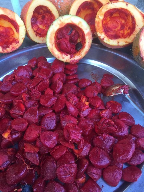 SON DƯỠNG GẤC THÂM MÔI, MỀM MÔI, CHỐNG NỨT NẺ DO THỜI TIẾT (handmade) | BigBuy360 - bigbuy360.vn