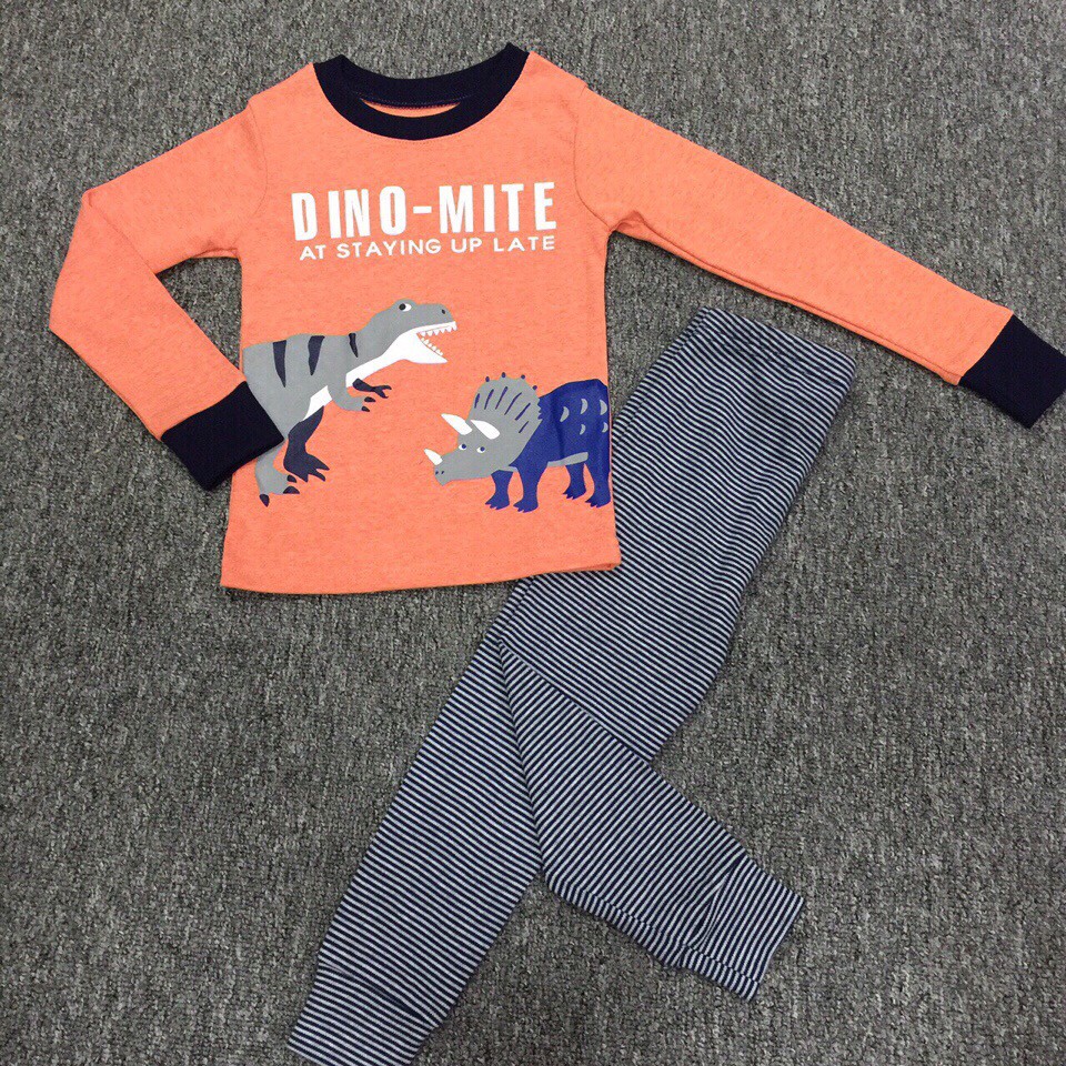 Combo 2 bộ tay dài bé trai + 2 áo Place