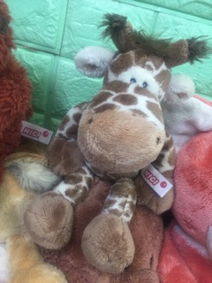 Nici (si 99%) Giraffe nhiều size