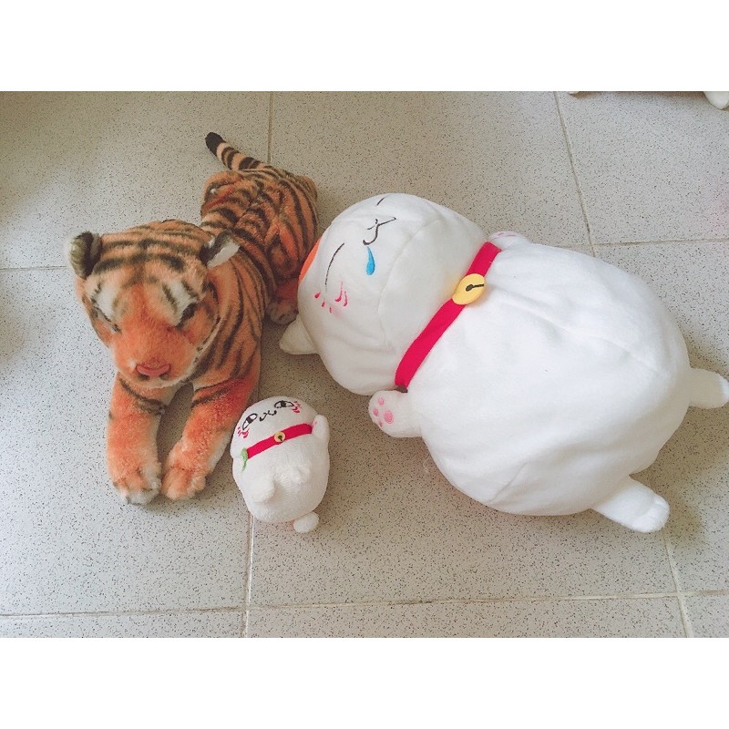 Set gấu siêu cực đẹp  👍👍