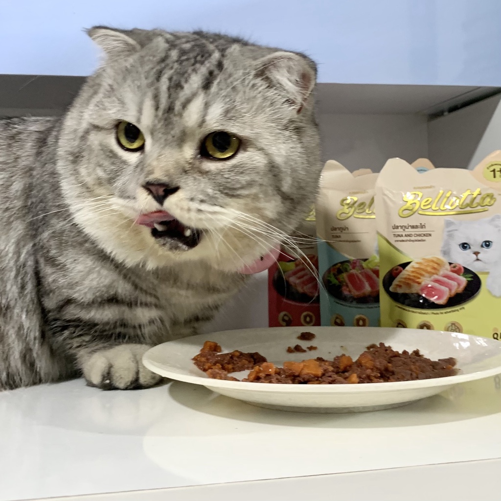 Pate Bellotta Cho Mèo Nhập Thái