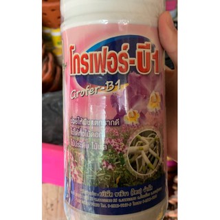 Phân bón kích rễ Vitamin B1 1 lít (Thái Lan)