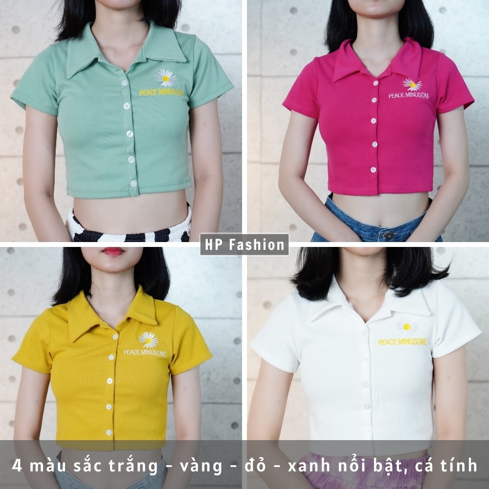 Áo croptop cổ bẻ ❤️ Áo thun nữ polo thêu hoa cúc xinh xắn Chất thun borip co dãn - CT06 | WebRaoVat - webraovat.net.vn