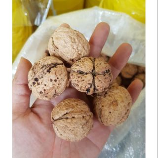 1kg Óc chó nếp vỏ mỏng, không tẩy