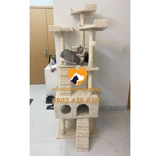 Mã LZ0143  - Cat Tree - Nhà Cây Cho Mèo Kèm Trụ Cào Móng (50x60x1m55)