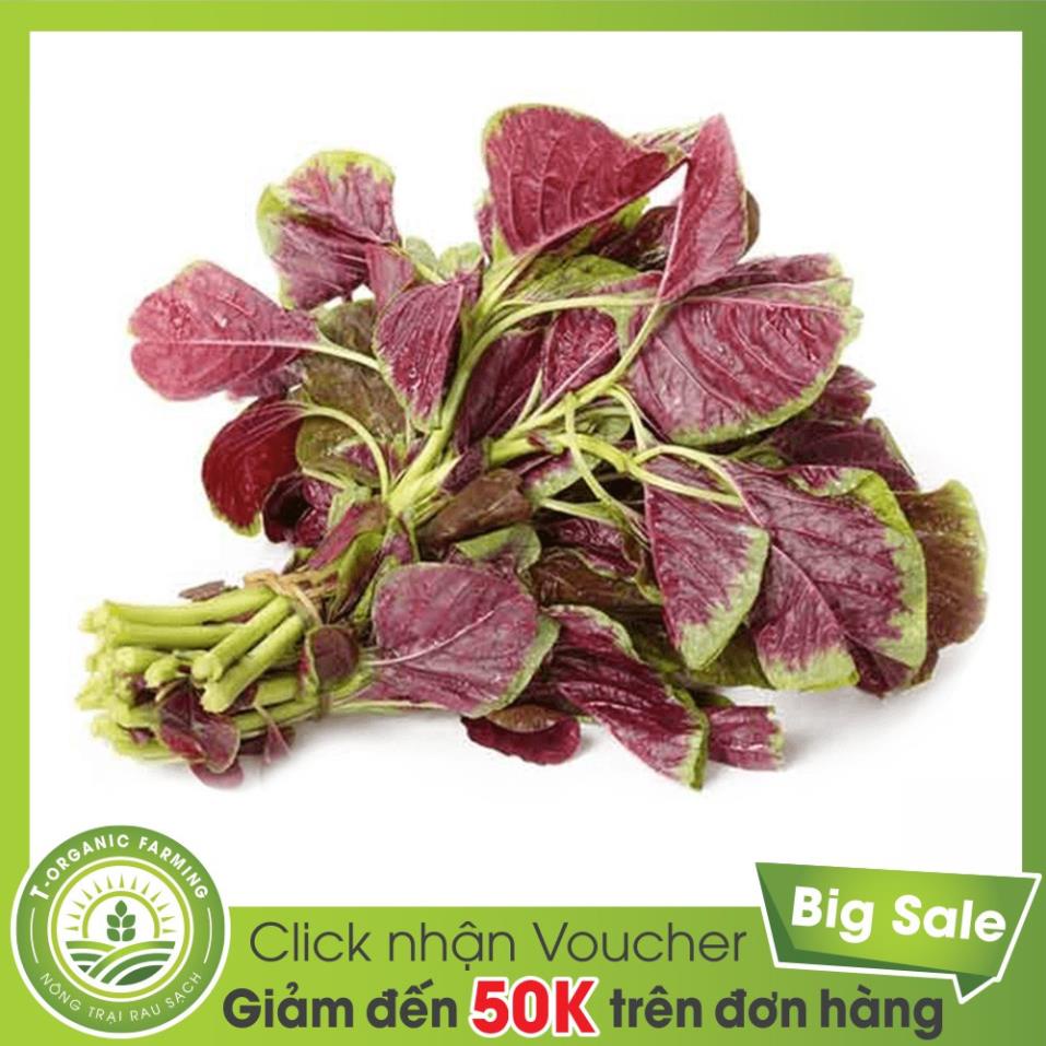 hạt giống rau dền ba màu ( dền khoang)