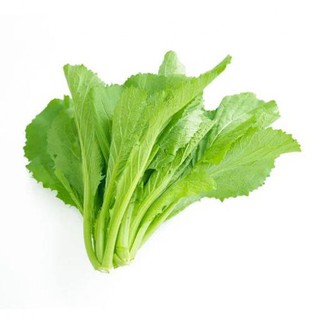 Hạt giống cải bẹ xanh mỡ
