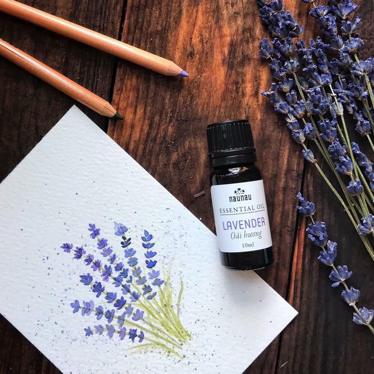 Tinh dầu Lavender