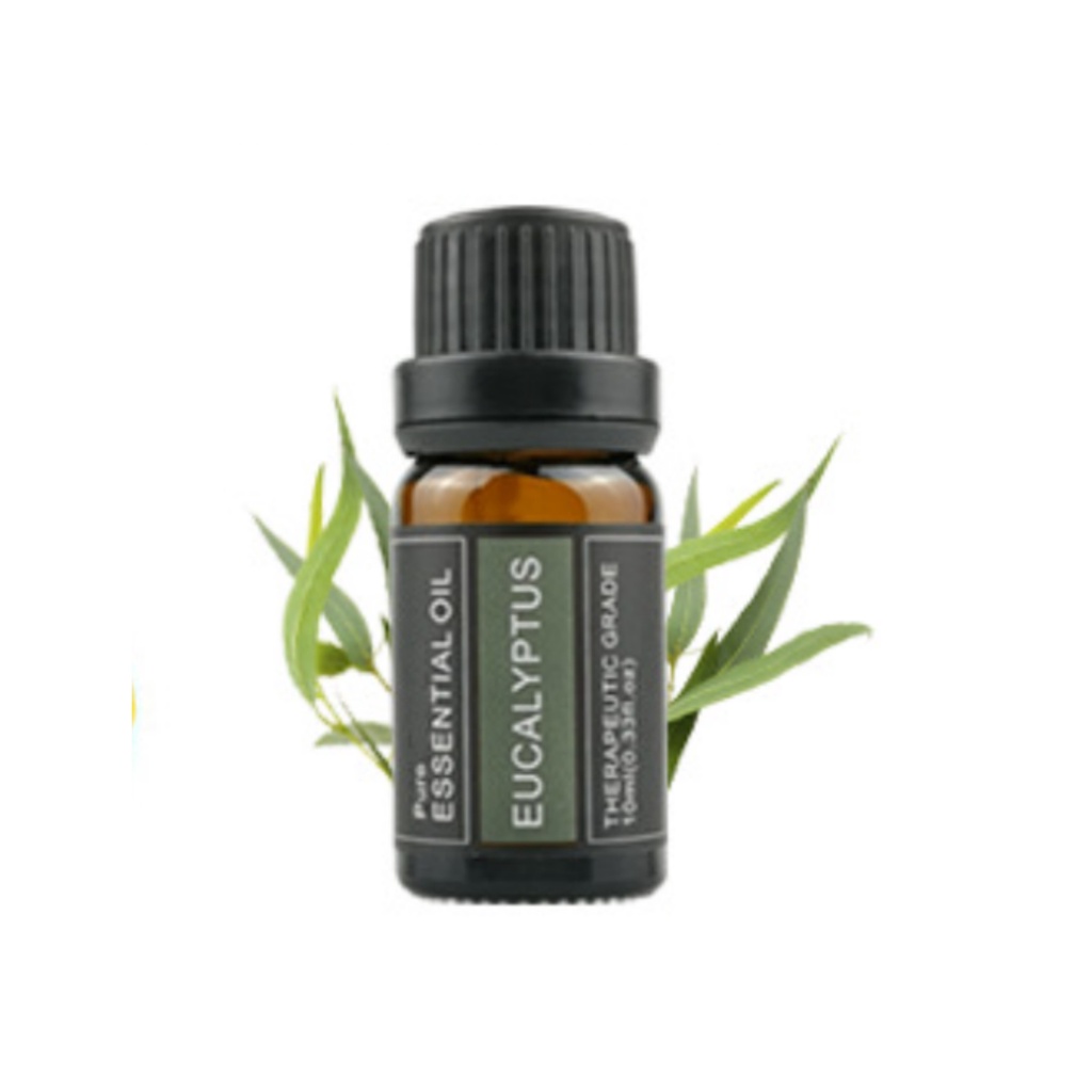 Tinh dầu bạch đàn - eucalyptus essential oil dùng làm nến thơm 44