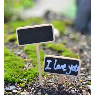 Phụ kiện tiểu cảnh - Tấm bảng đen