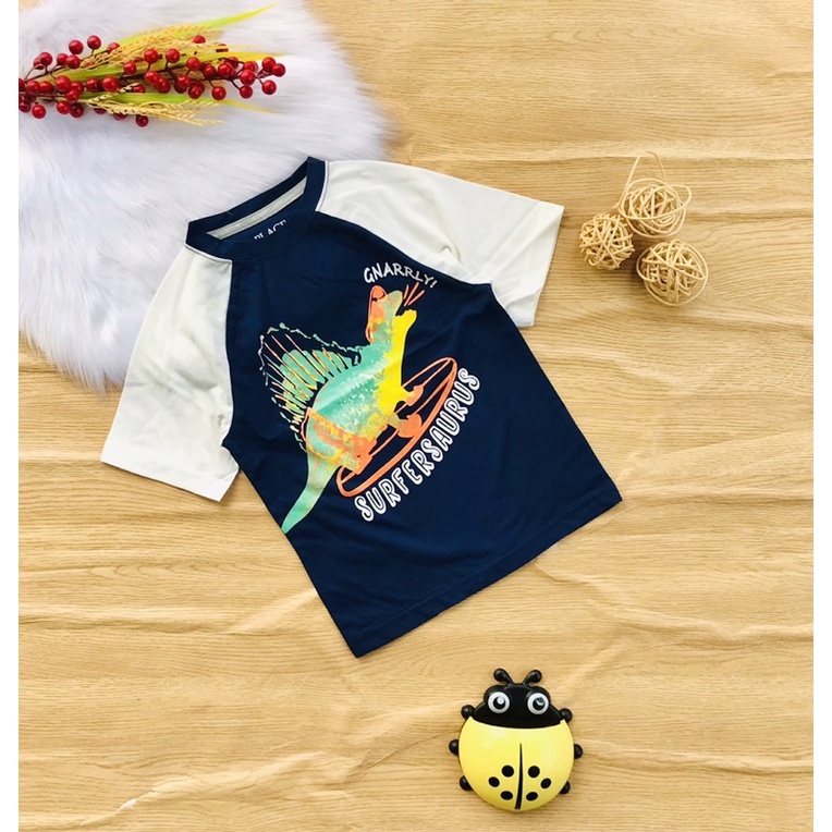 🚑 Áo thun cotton Place xuất cho bé trai 18-50kg