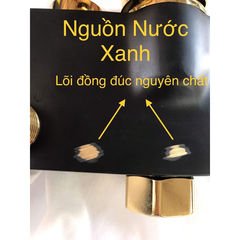 SEN CÂY TẮM BLACKGOLD PHUN SƠN TĨNH ĐIỆN ĐEN VÀNG CAO CẤP