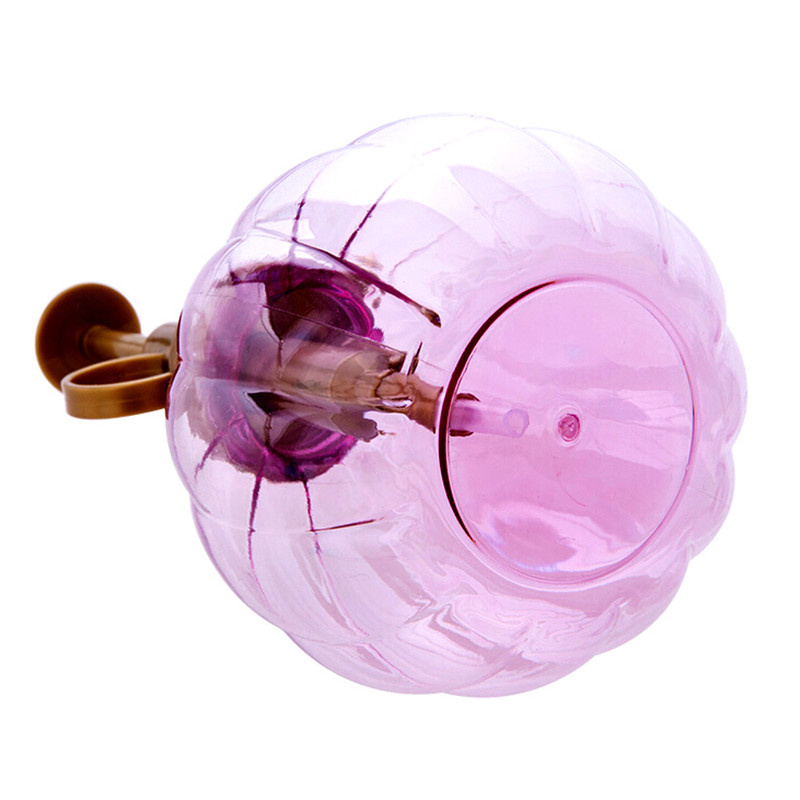 Bình Xịt Nước Tưới Cây Tiện Dụng