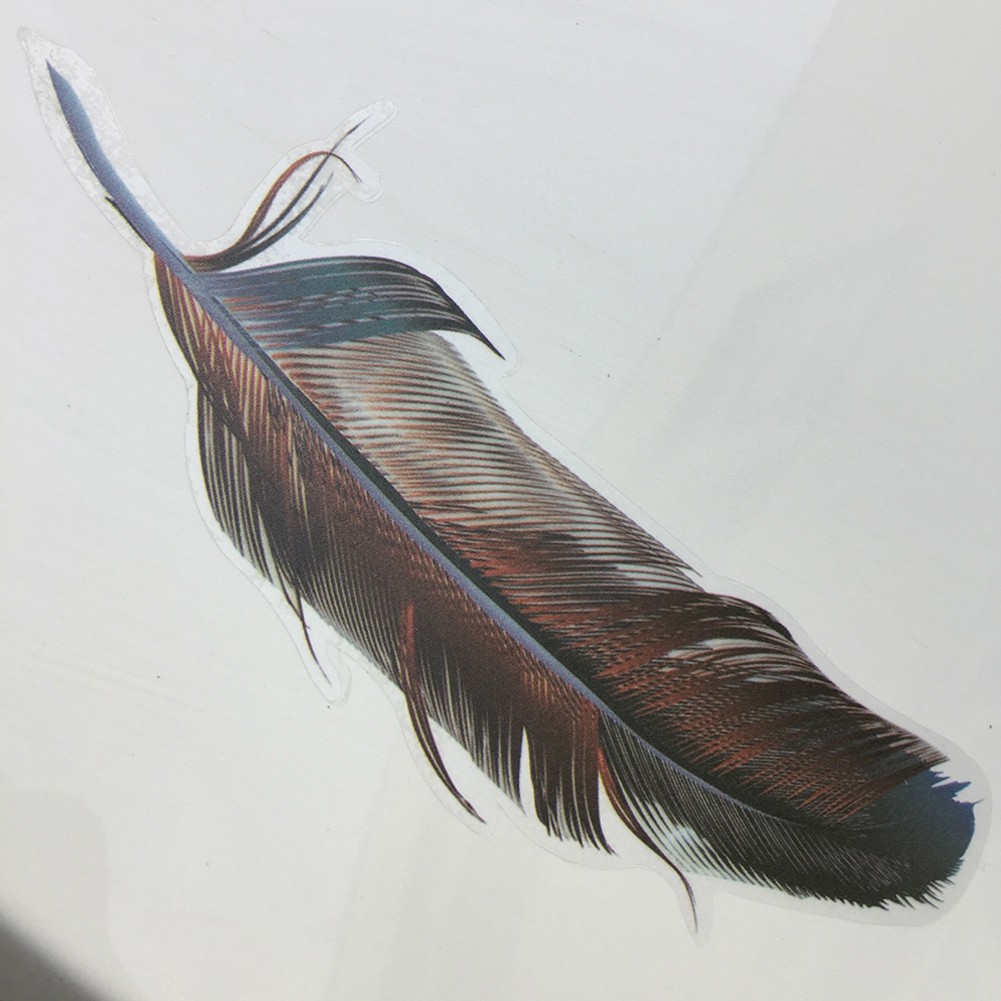 Set đề can dán xe hơi trang trí họa tiết lông vũ nhiều màu sắc