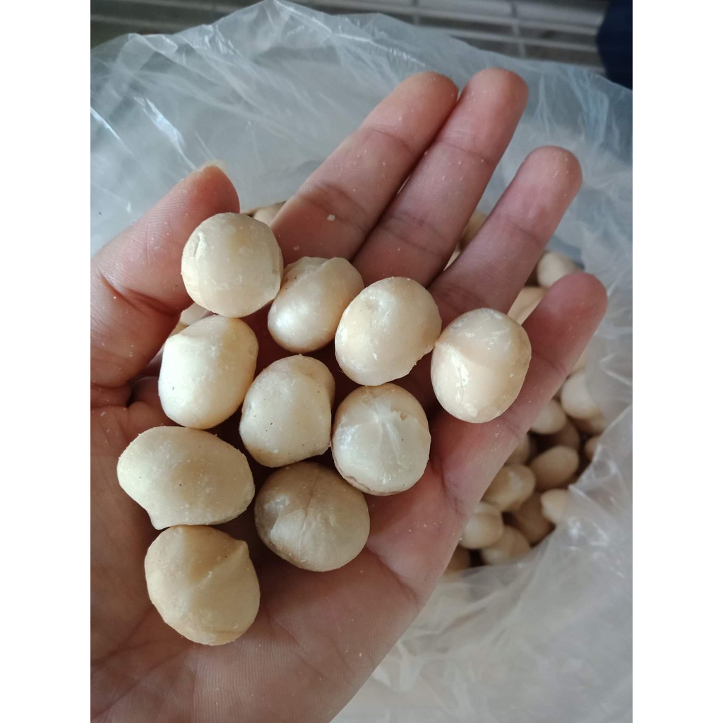 Macca sấy Tây Nguyên | BigBuy360 - bigbuy360.vn