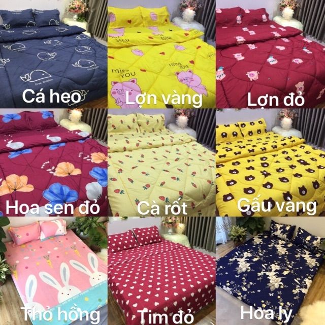 Ga và 2 vỏ gối cotton poly. Chat chọn mẫu