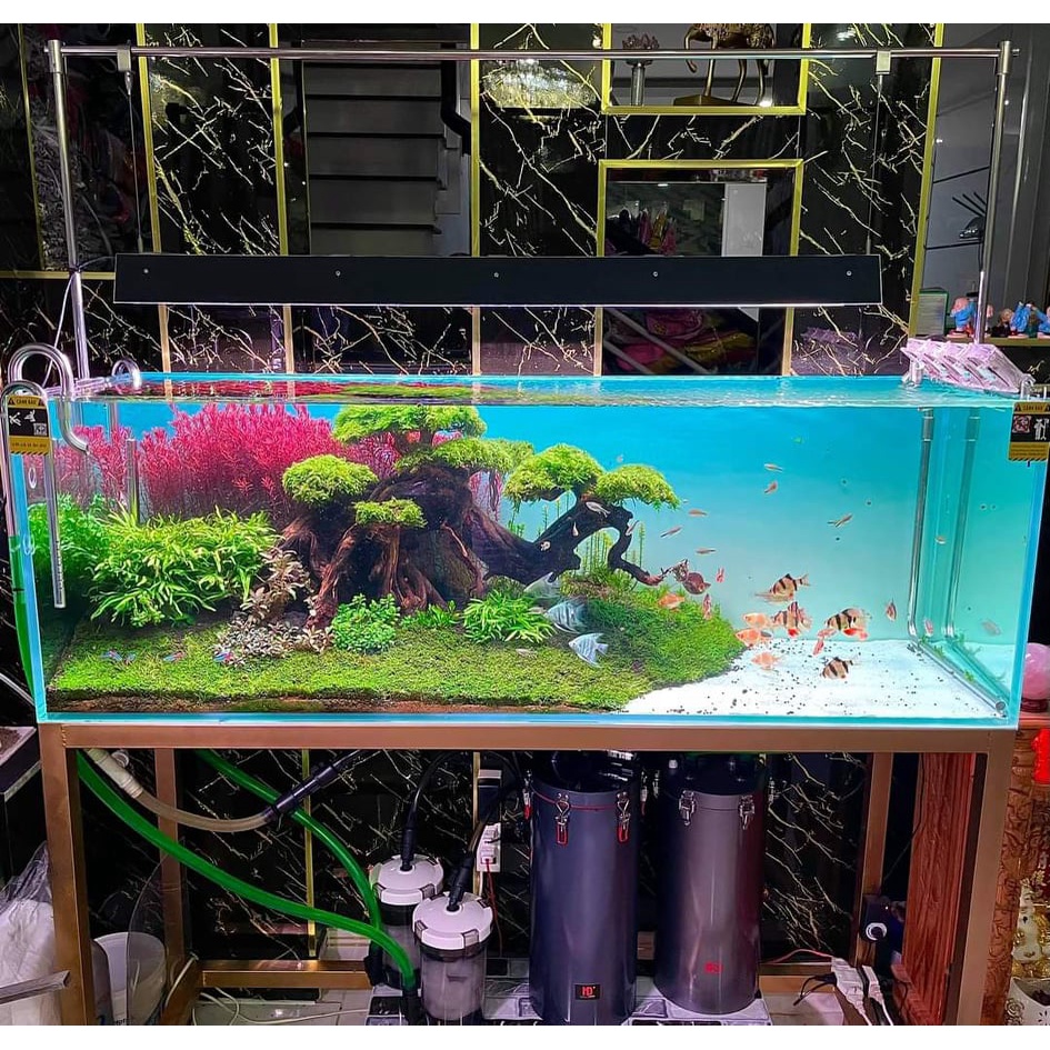 BỘ CÁP VÀ KẸP TREO INOX ĐA  NĂNG CHO ĐÈN WRGB2, TRIPH, METAL CHO BỂ CÁ, BỂ THỦY SINH