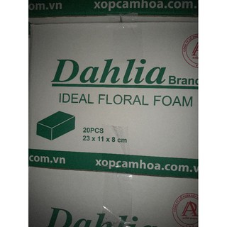 Mút xốp cắm hoa DAHLIA ( 1 thùng 20 viên )
