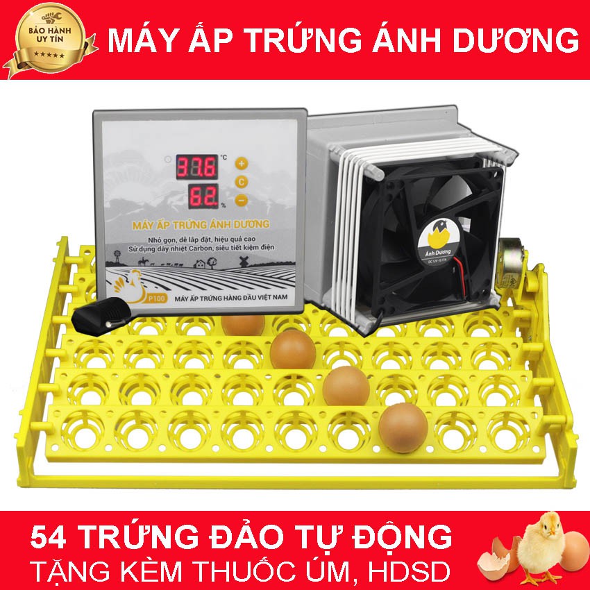 Máy Ấp Trứng Gà Mini Ánh Dương P100 - Khay đảo tự động 54 trứng ấp Gà, Vịt, Ngan - Lắp vào thùng xốp