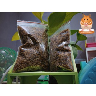 Sâu rang cho Hamster ( Bịch lớn 40gr )