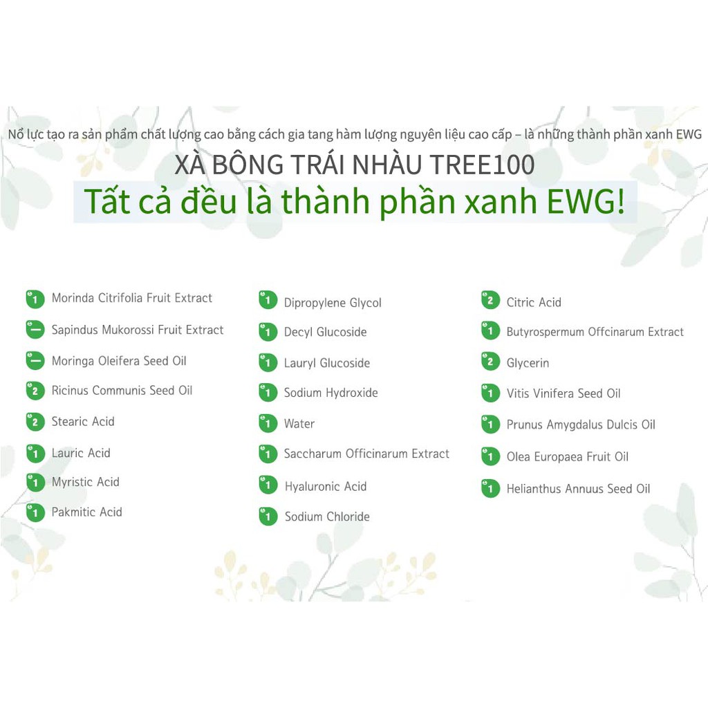 Hộp 3 Xà Bông Trái Nhàu Cao Cấp – TREE100 Noni Soap 3pcs