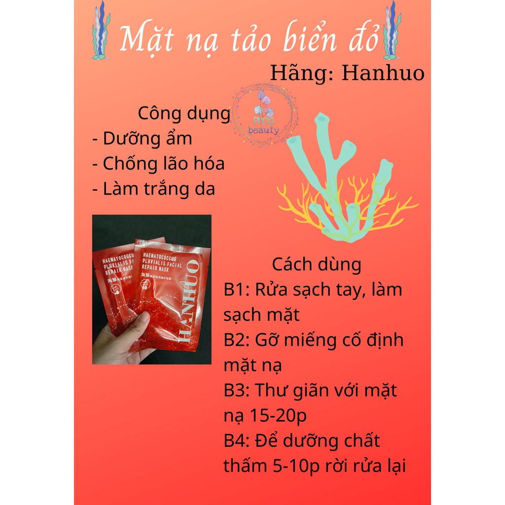 MẶT NẠ TẢO BIỂN