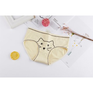 Combo 10 Quần lót nữ, quần lót cotton in hình dễ thương ZBra - ZQC01
