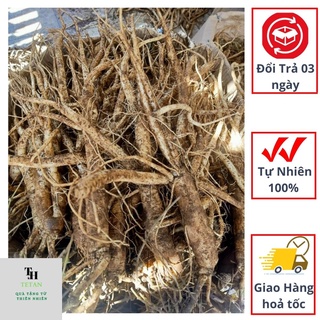 Sâm dây ngọc linh - tự nhiên - hàng lựa chuẩn đều lớn - ngâm mật ong- nấu nước uồng - sâm tetan tây nguyên