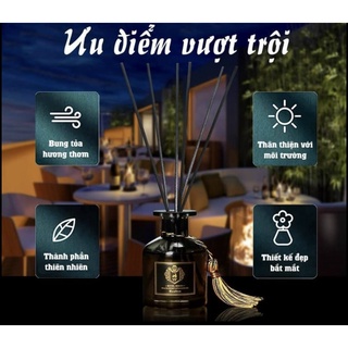 Lọ tinh dầu thơm phòng 50ml
