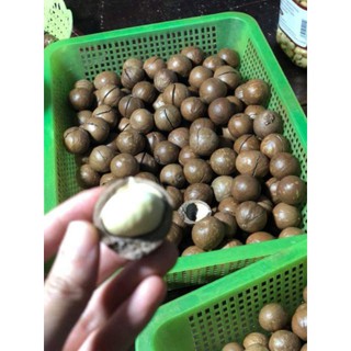 [Hàng cao cấp]# Hạt Măc ca sấy nứt Đăk Lăk Loai 1kg