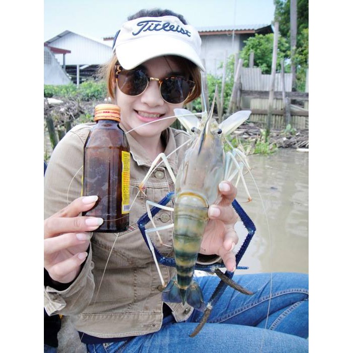 FishingEZ Chuyên Dùng Để Câu Tôm |THAILAND|