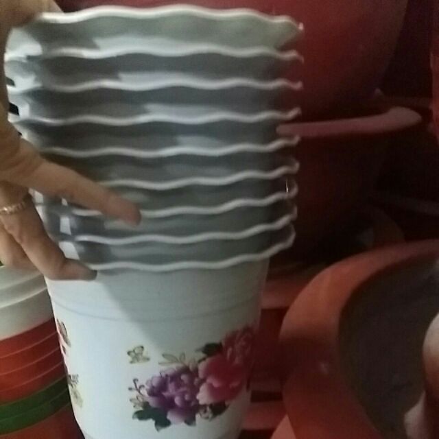 10 chậu  nhựa BB 260×230