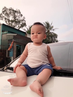 Áo ba lỗ trắng trơn 7-27kg   85k/2c