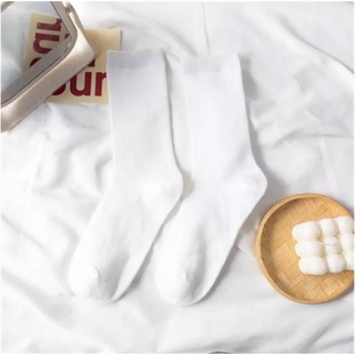 [SOCK Corner] Tất/Vớ Trơn Cổ Cao Đủ Màu