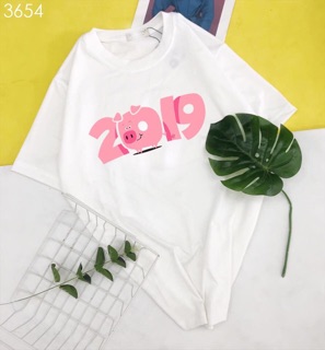 Bộ hình áo thun con heo 2