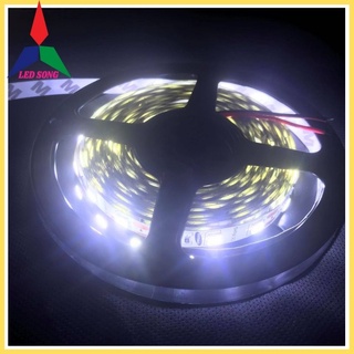 Led dây dán 5054 Samsung 12v cuộn 5m