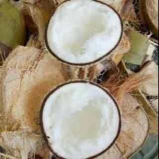 Dừa sáp Cầu Kè đặc bi 600g ngon bổ rẻ