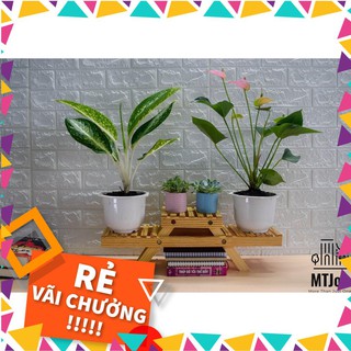 KỆ GỖ ĐỂ CHẬU HOA, CÂY CẢNH MINI - MTJou