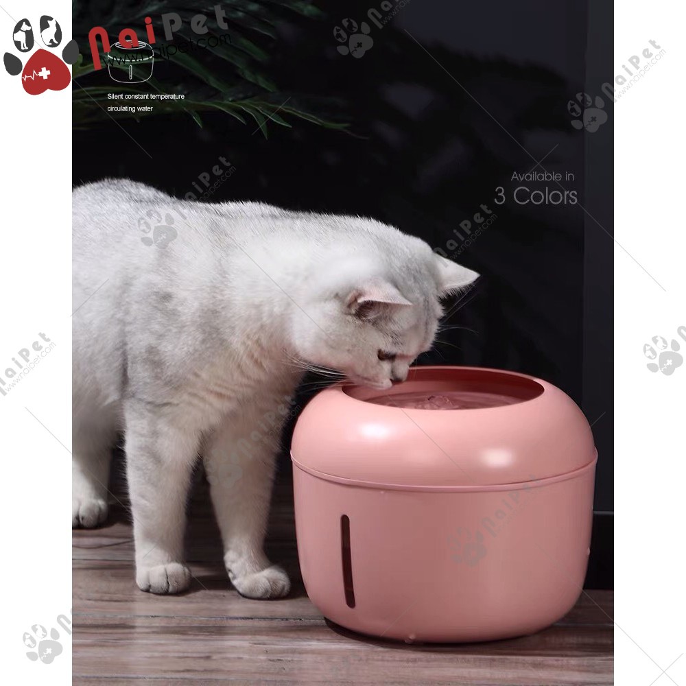 Máy Uống Nước Phun Và Lọc Tự Động Cho Chó Mèo Pakeway MLN001 2.5 Lít
