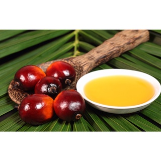 Dầu cọ 10ml/50ml/100ml_ nguyên liệu làm mỹ phẩm