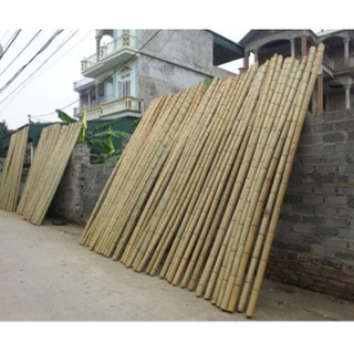 Nan lồng chim 2ly2 2ly3 2ly5