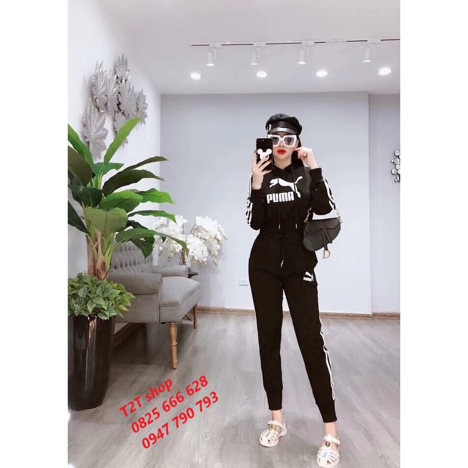 Bộ nỉ puma