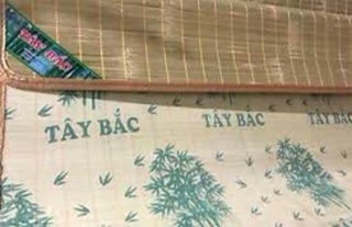 Chiếu trúc Tây Bắc 